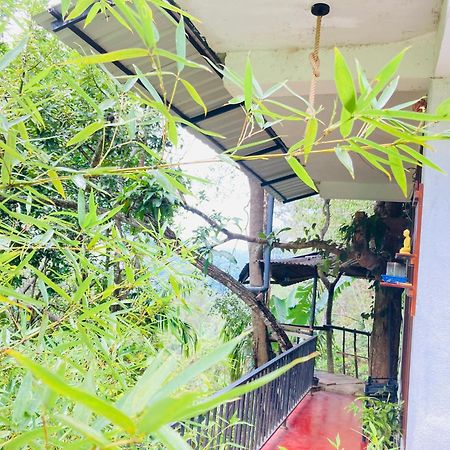 Pepper Garden Resort Ella Bagian luar foto