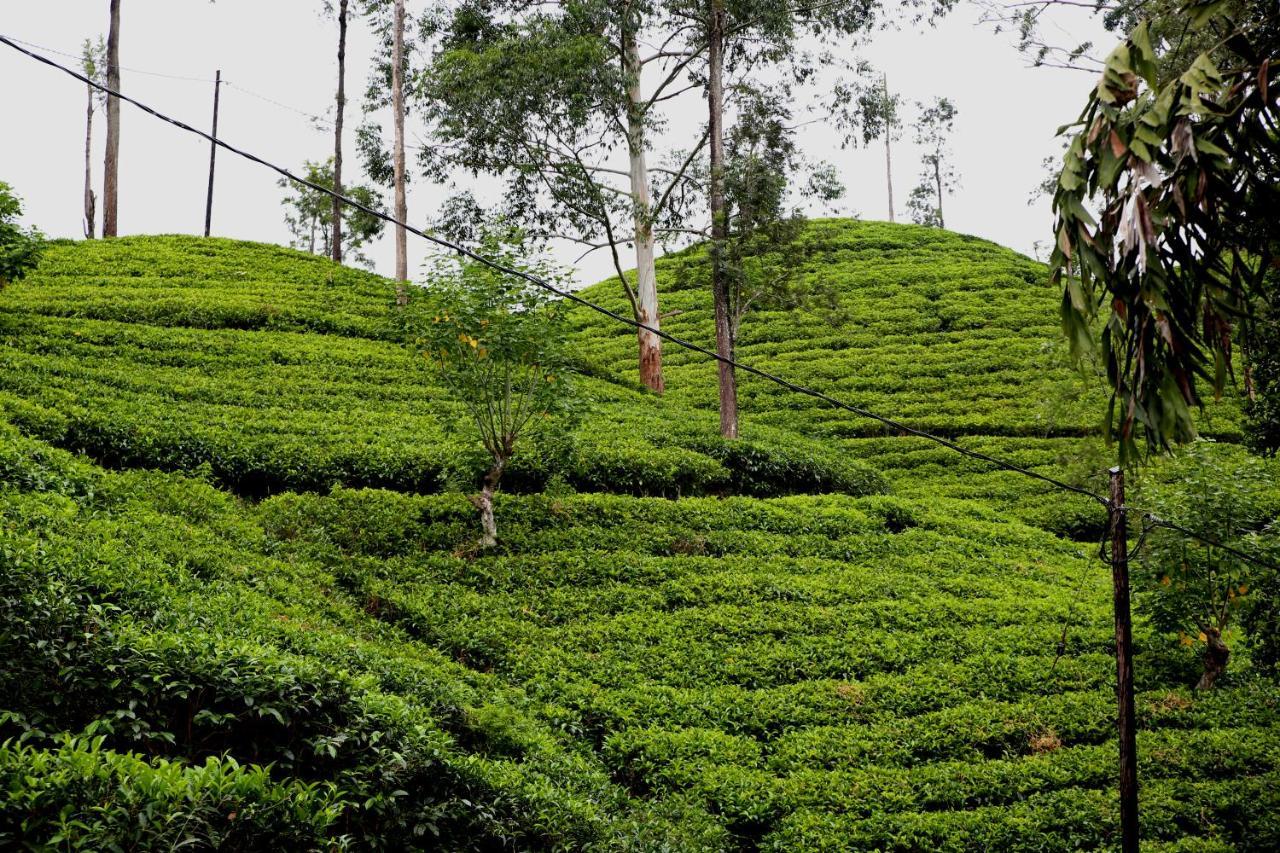 Pepper Garden Resort Ella Bagian luar foto