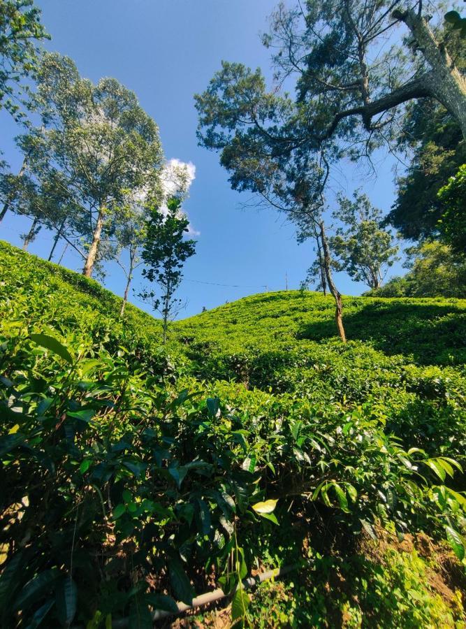 Pepper Garden Resort Ella Bagian luar foto