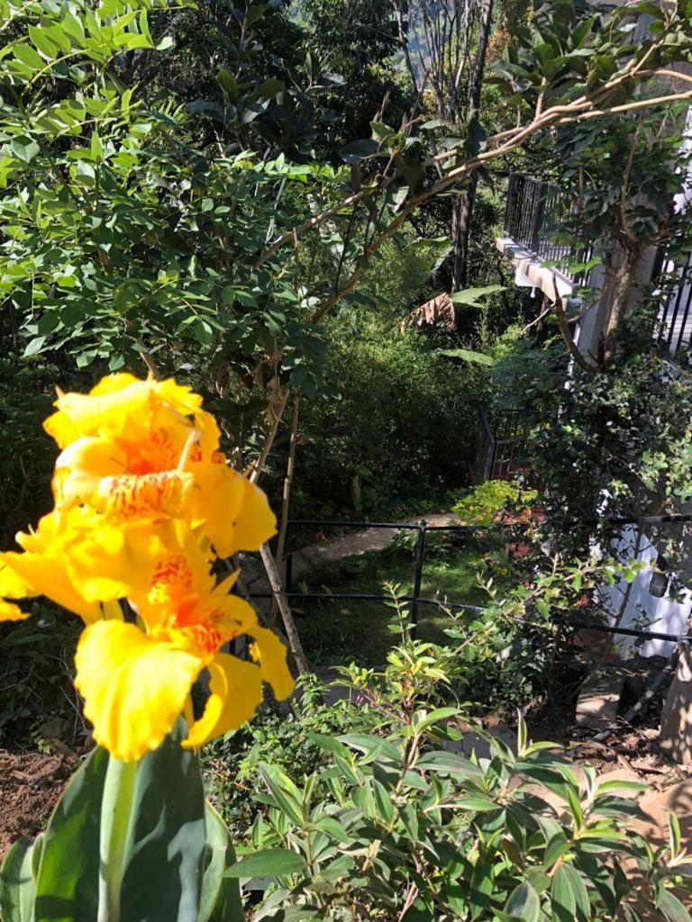 Pepper Garden Resort Ella Bagian luar foto