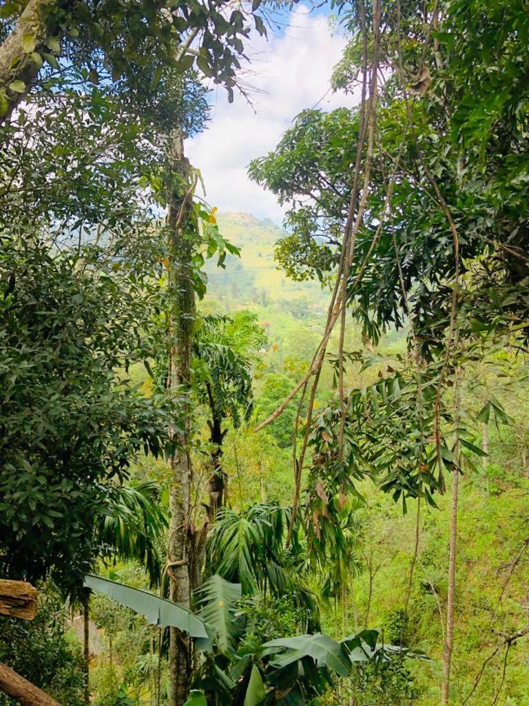 Pepper Garden Resort Ella Bagian luar foto