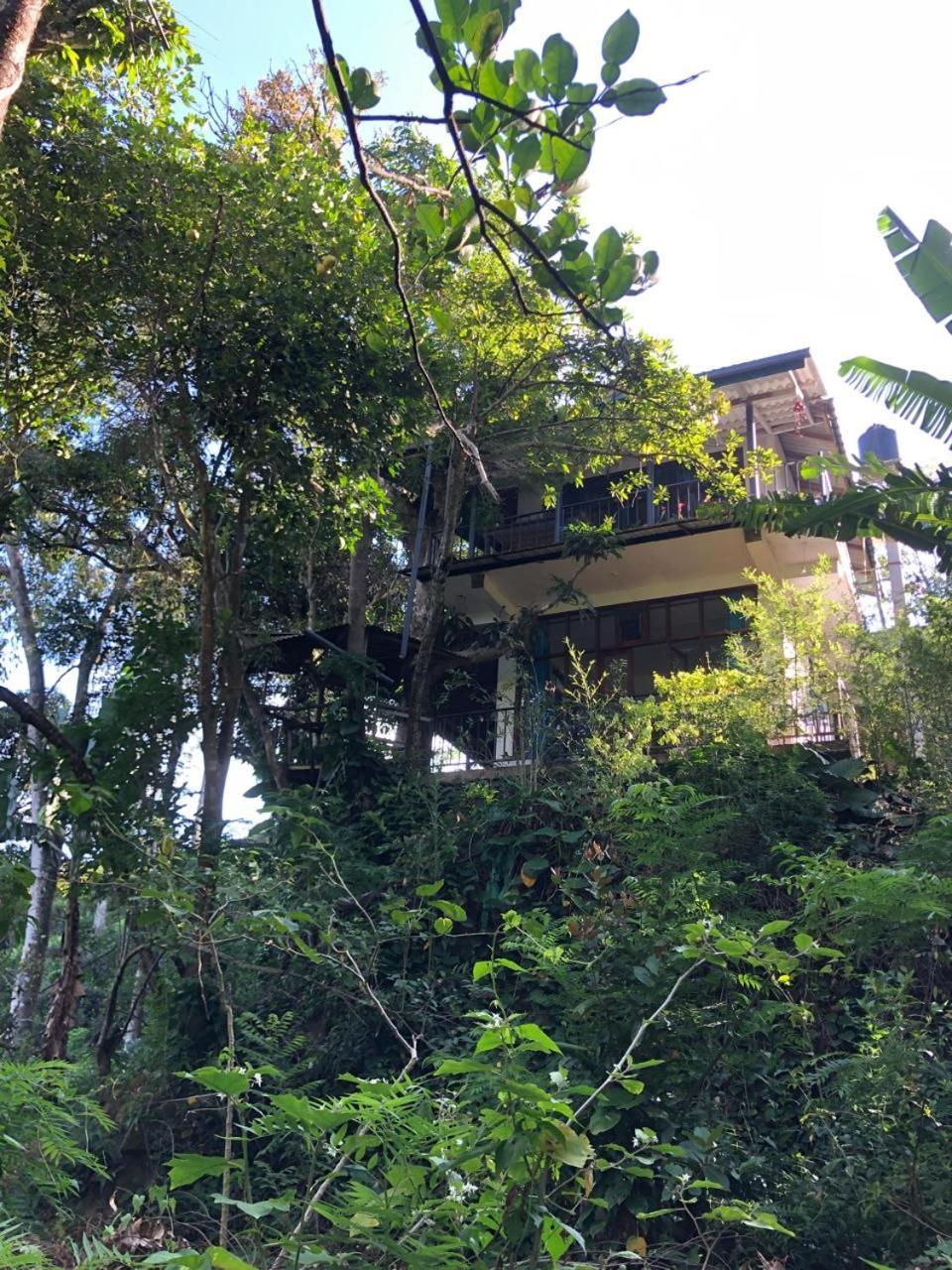 Pepper Garden Resort Ella Bagian luar foto